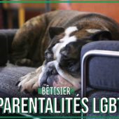 BÊTISIER de Parentalités LGBT+